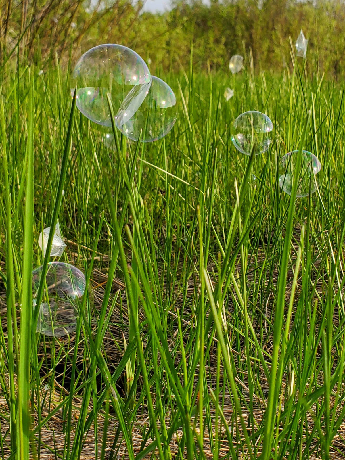 Wishbone Products - Crazy Catchables Bubble Storm with Solution