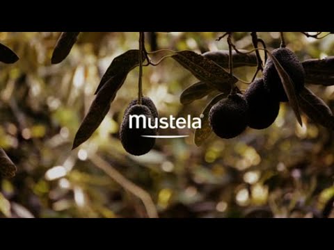 Mustela Hydra Bébé Face Cream with Organic Avocado – 40mL