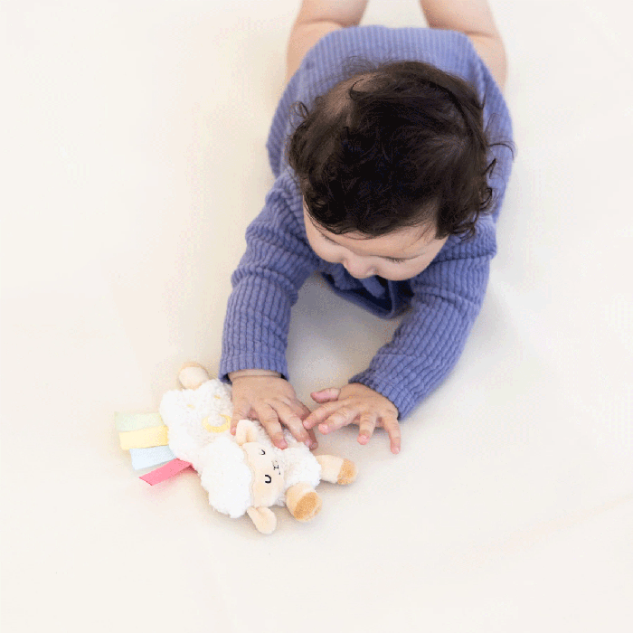 Pearhead Learning Kit (0-6 months)