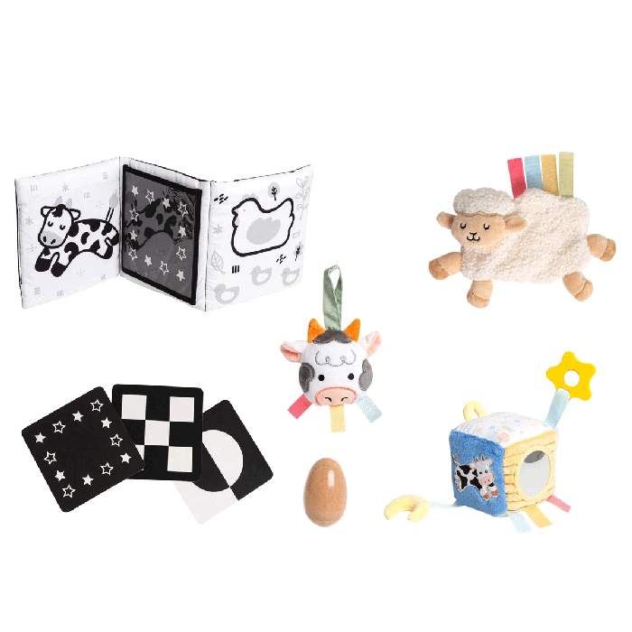 Pearhead Learning Kit (0-6 months)