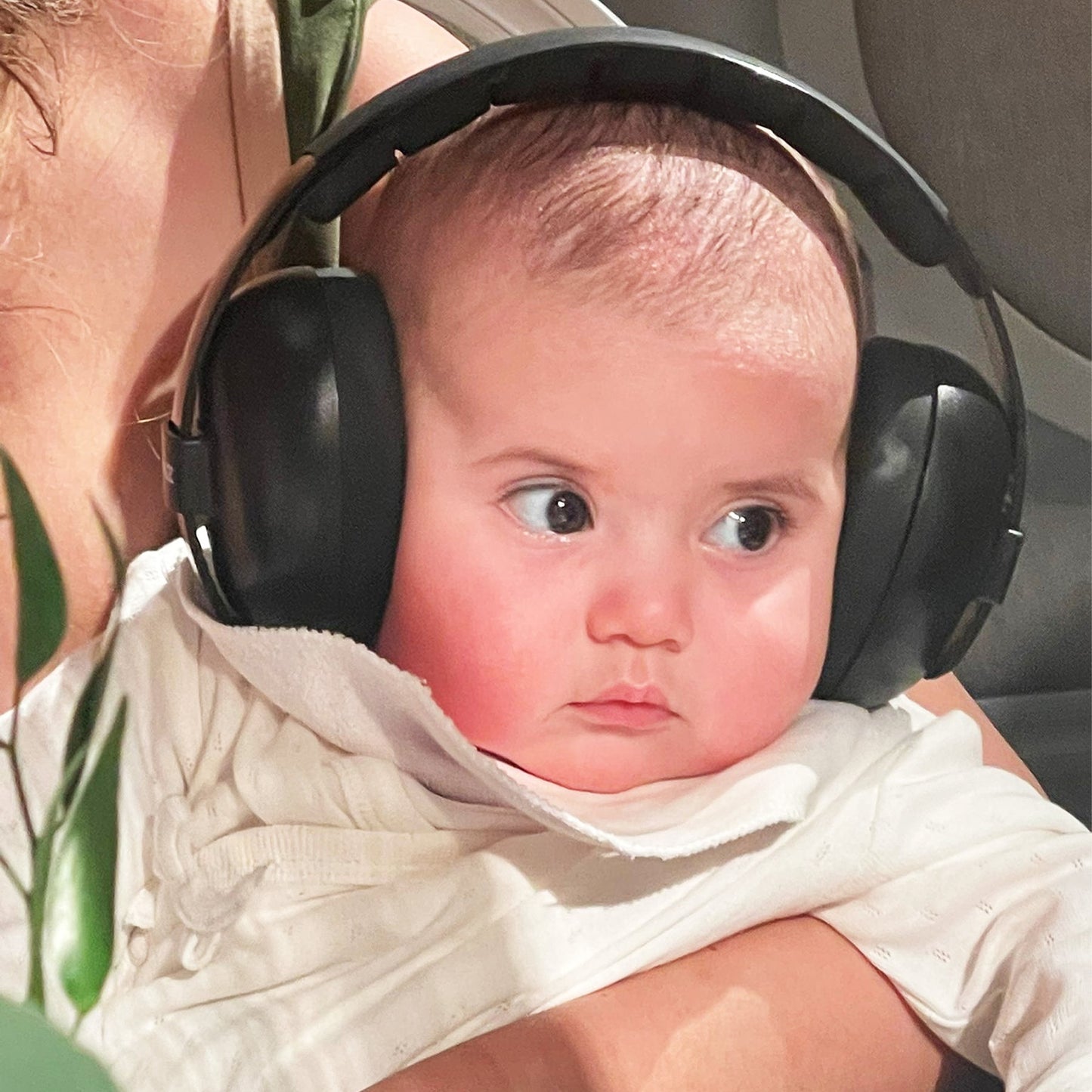 Banz - Baby Hearing Protection Earmuffs (2m+) - Graffiti