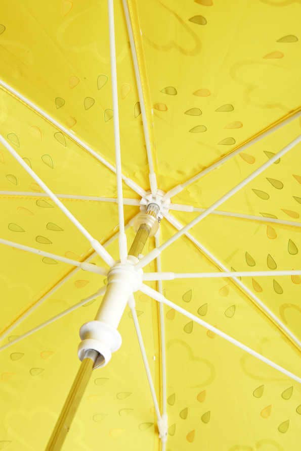 Grass & Air - Colour-Revealing Umbrella