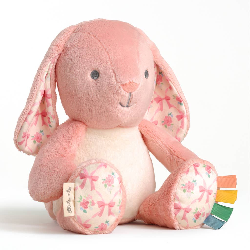 Itzy Ritzy - Sweetie Snuggles Plush: Strawberry