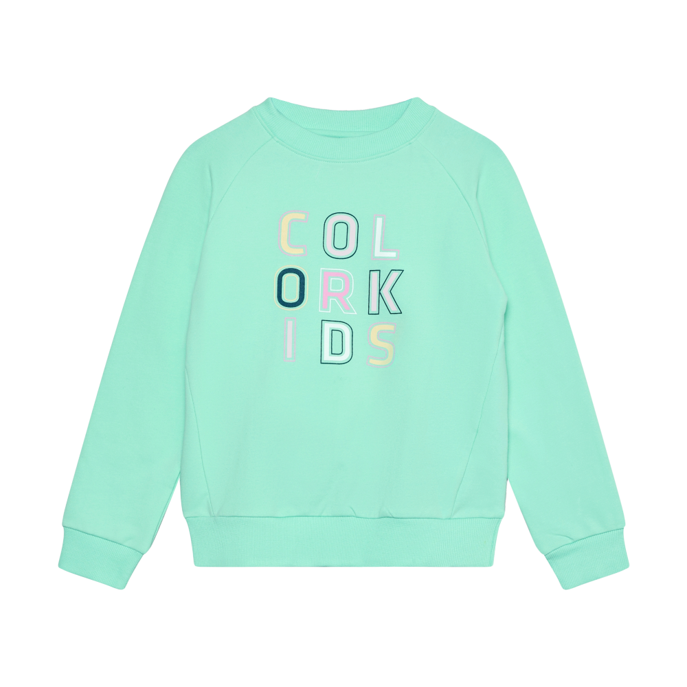 Color Kids - Color Block Logo Pullover Sweater