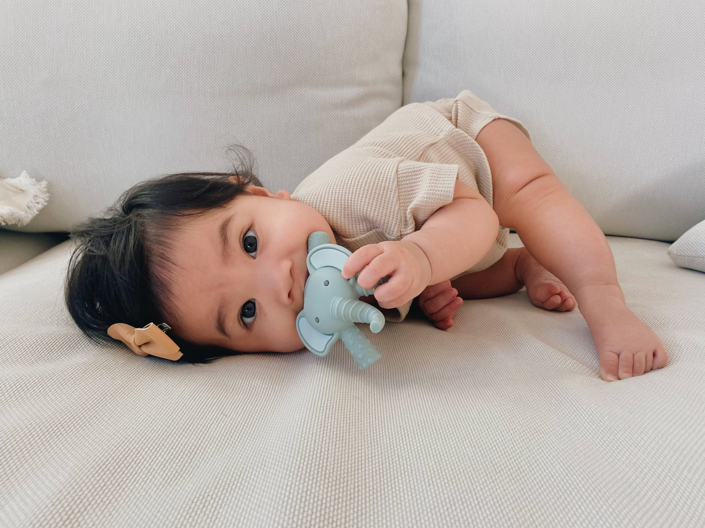 Itzy Ritzy - Ritzy Teether Baby Molar Teether: Lion