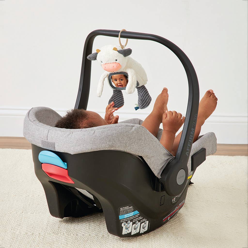 Itzy Ritzy - Itzy Bitzy Mirror Sensory Toy