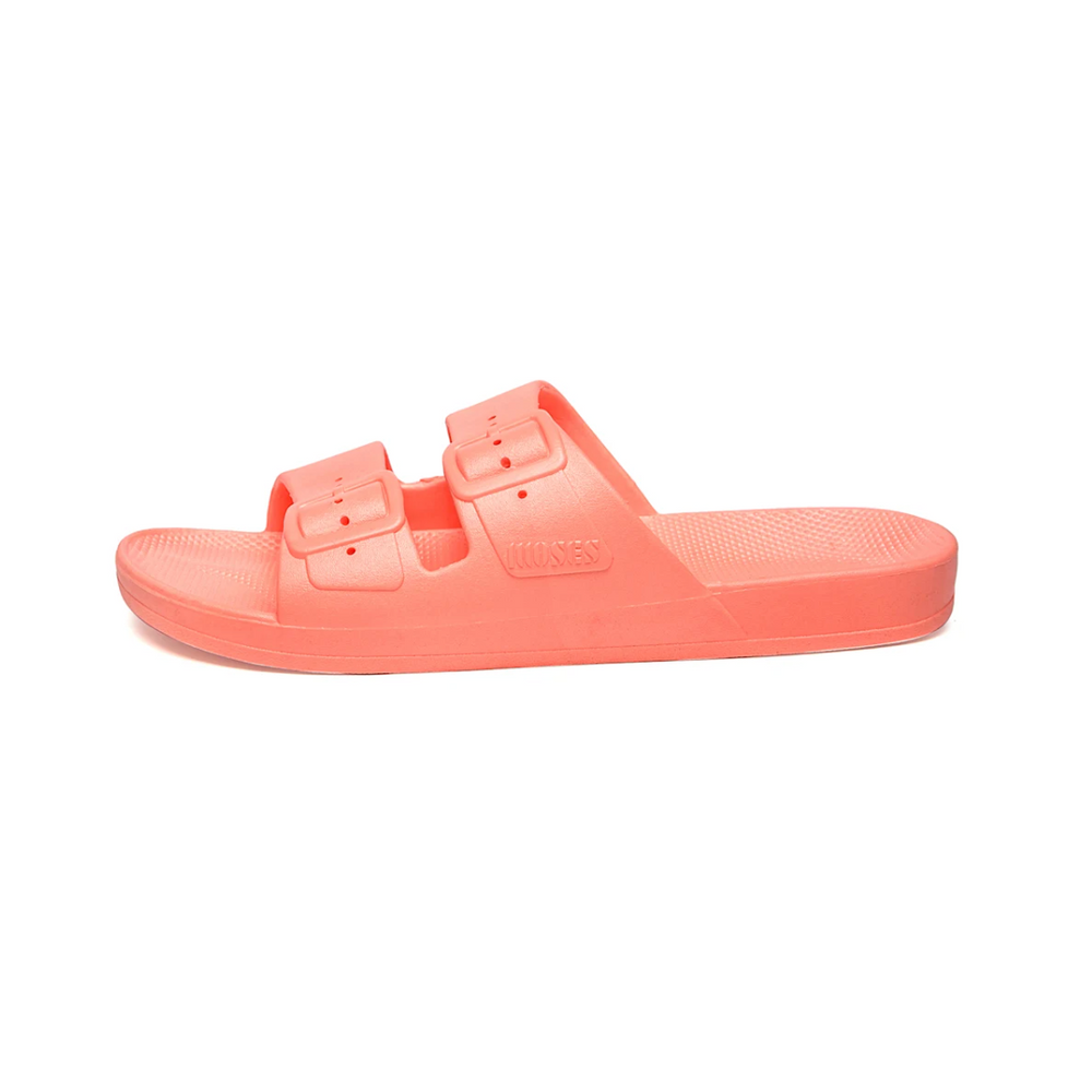 Freedom Moses - Basic Slides