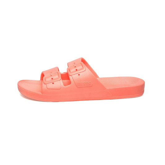 Freedom Moses - Basic Slides