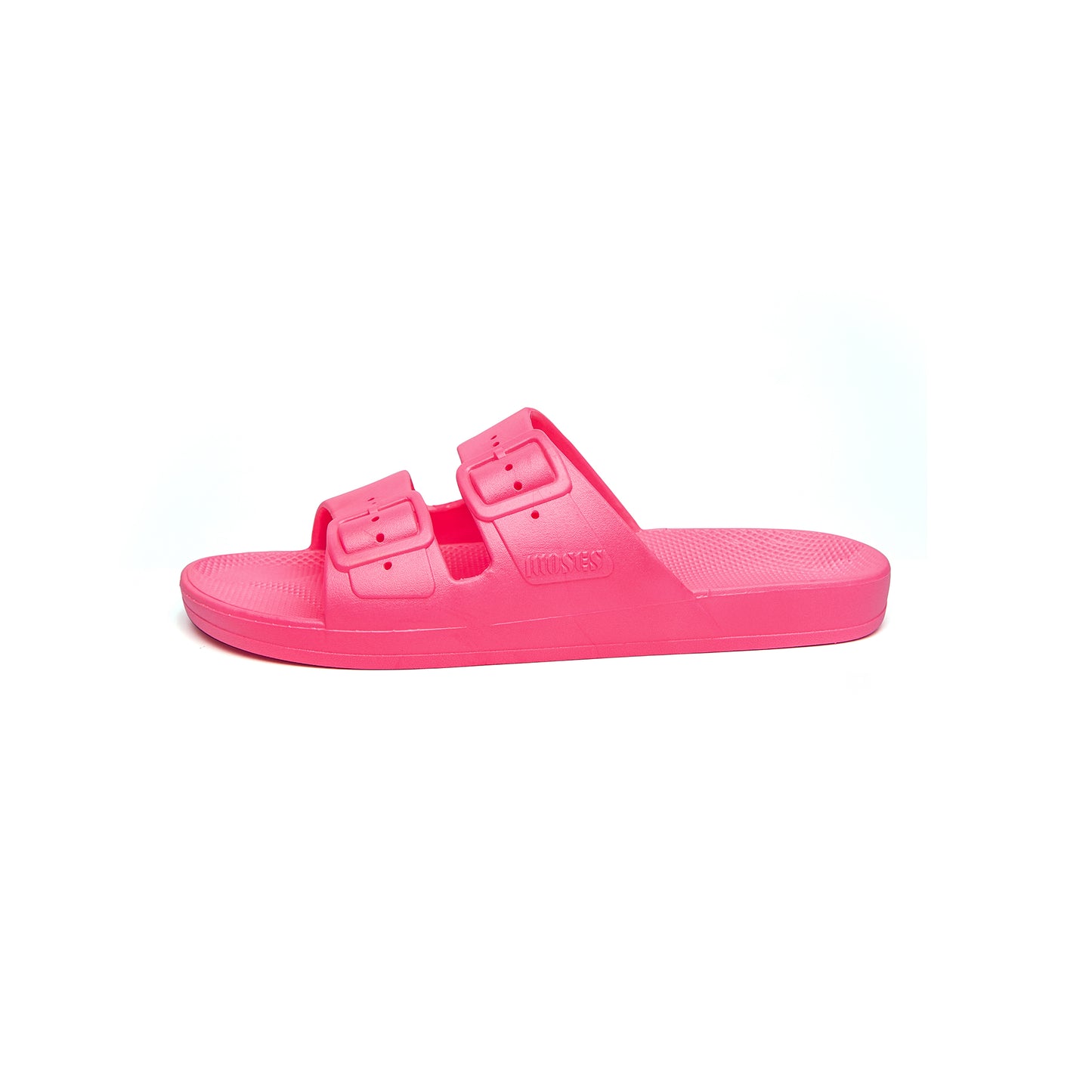 Freedom Moses - Basic Slides