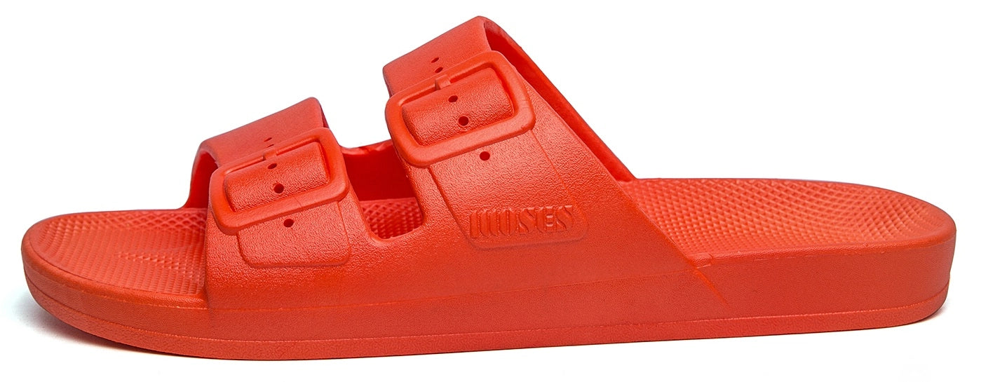 Freedom Moses - Basic Slides