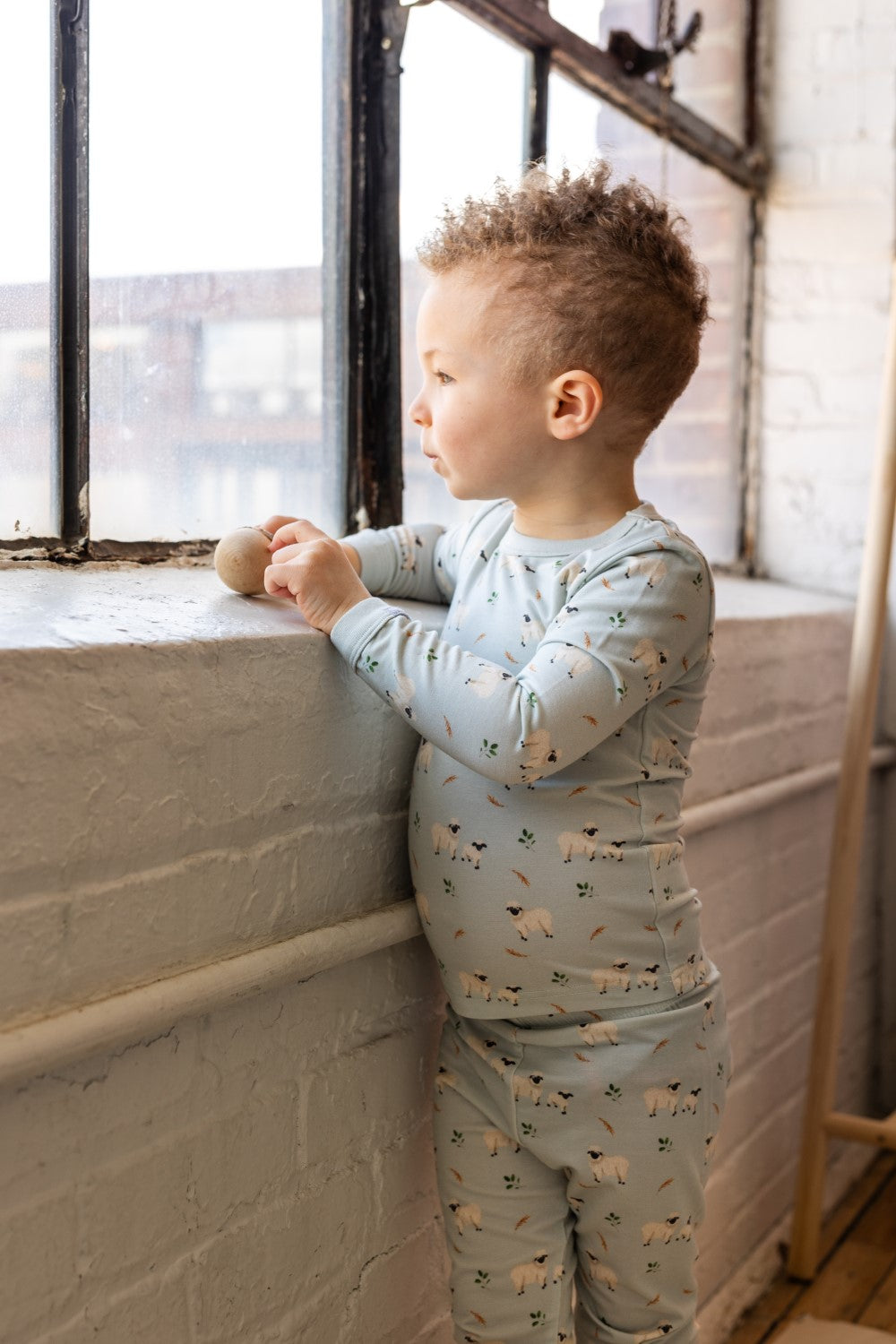 Coccoli - Long Sleeve Modal Pajamas