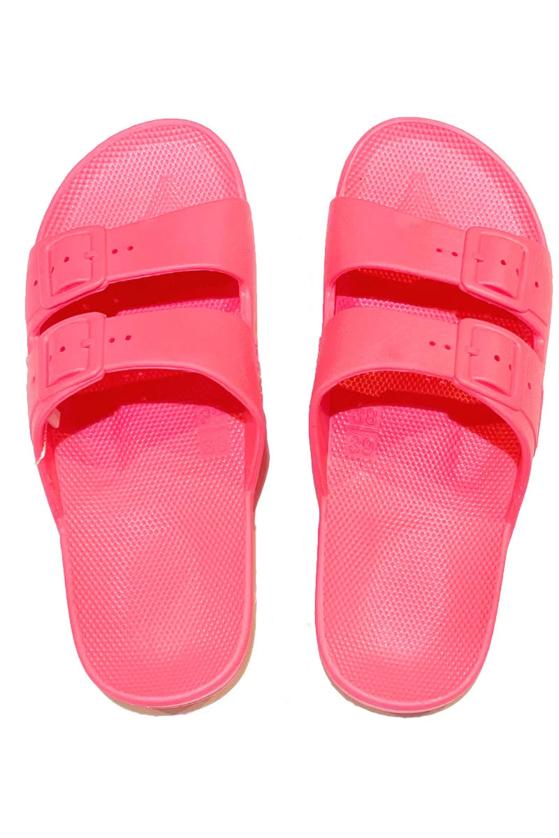 Freedom Moses - Basic Slides