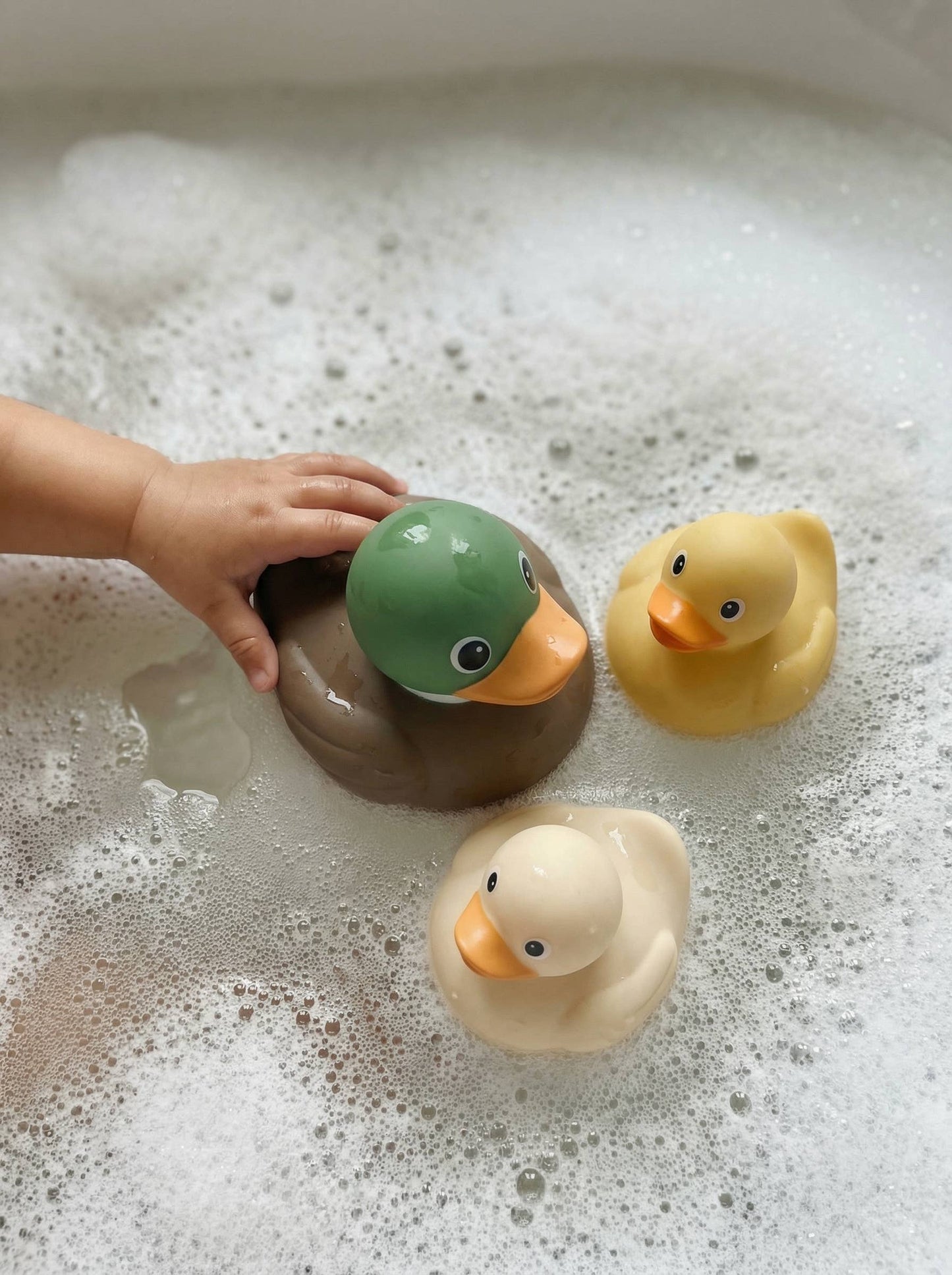 Itzy Ritzy - Itzy Ducky Family