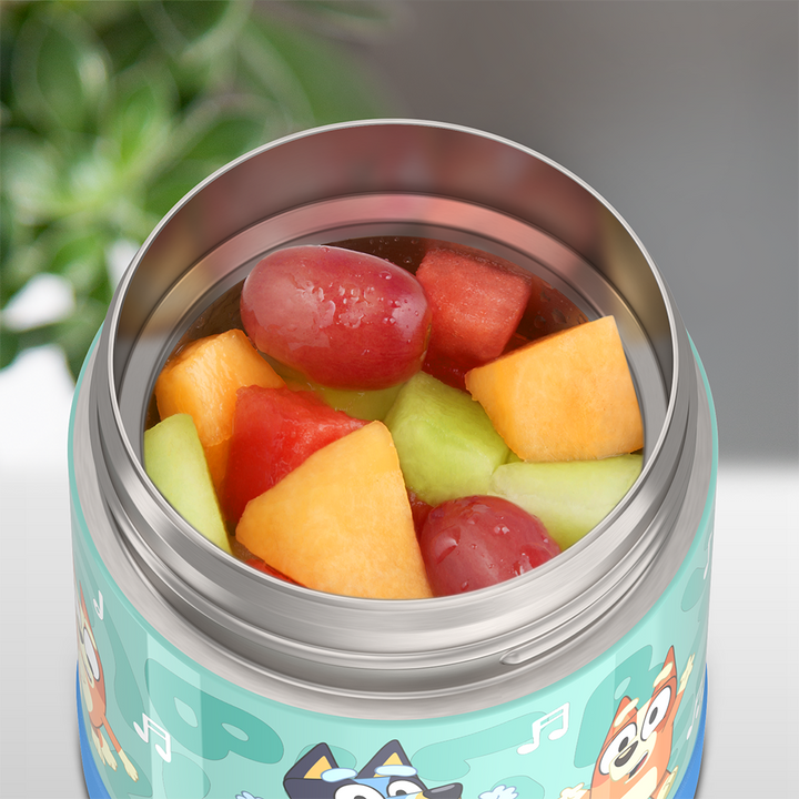Thermos Funtainer Food Jar