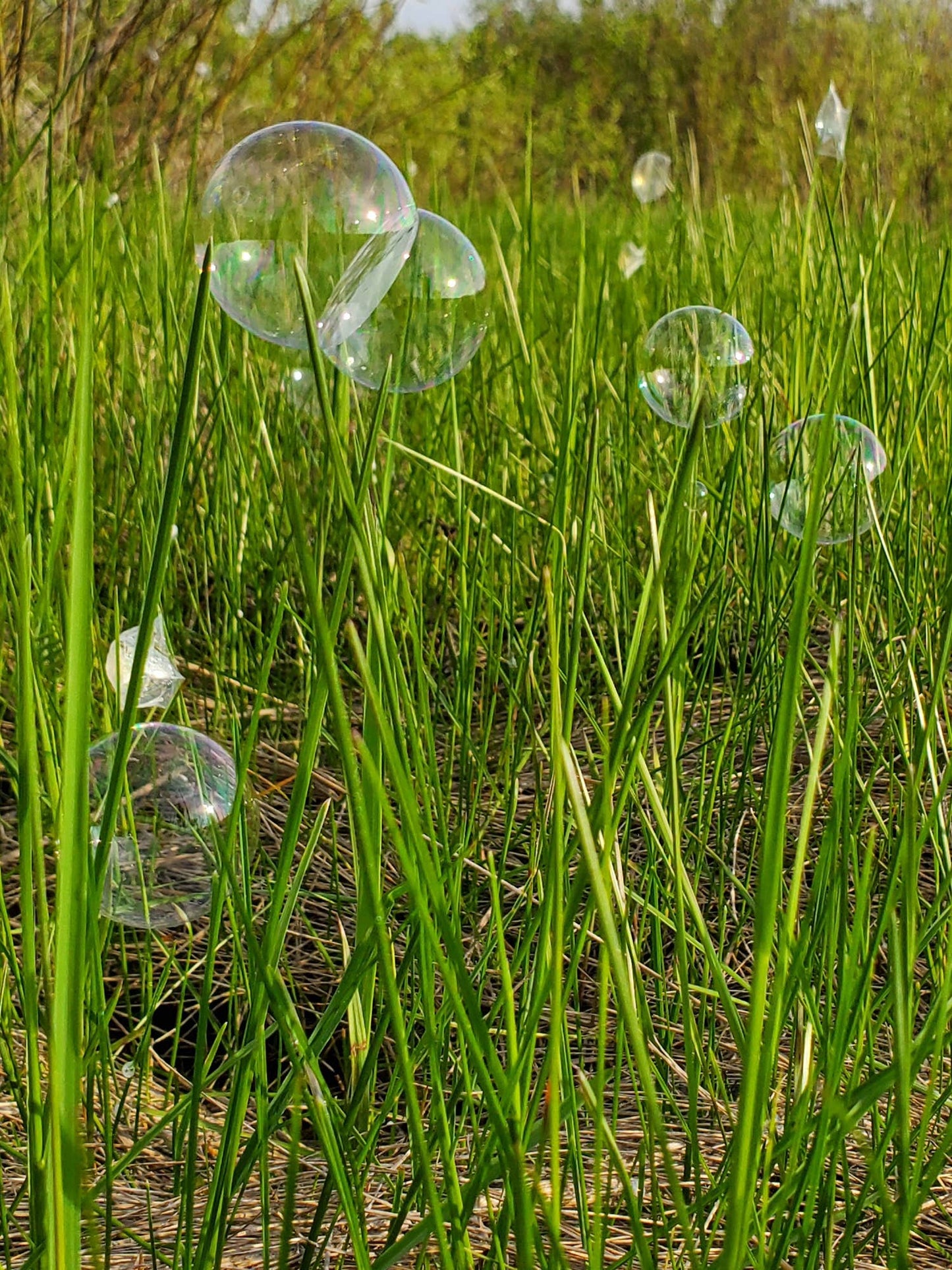 Wishbone Products - Crazy Catchables Bubble Storm with Solution