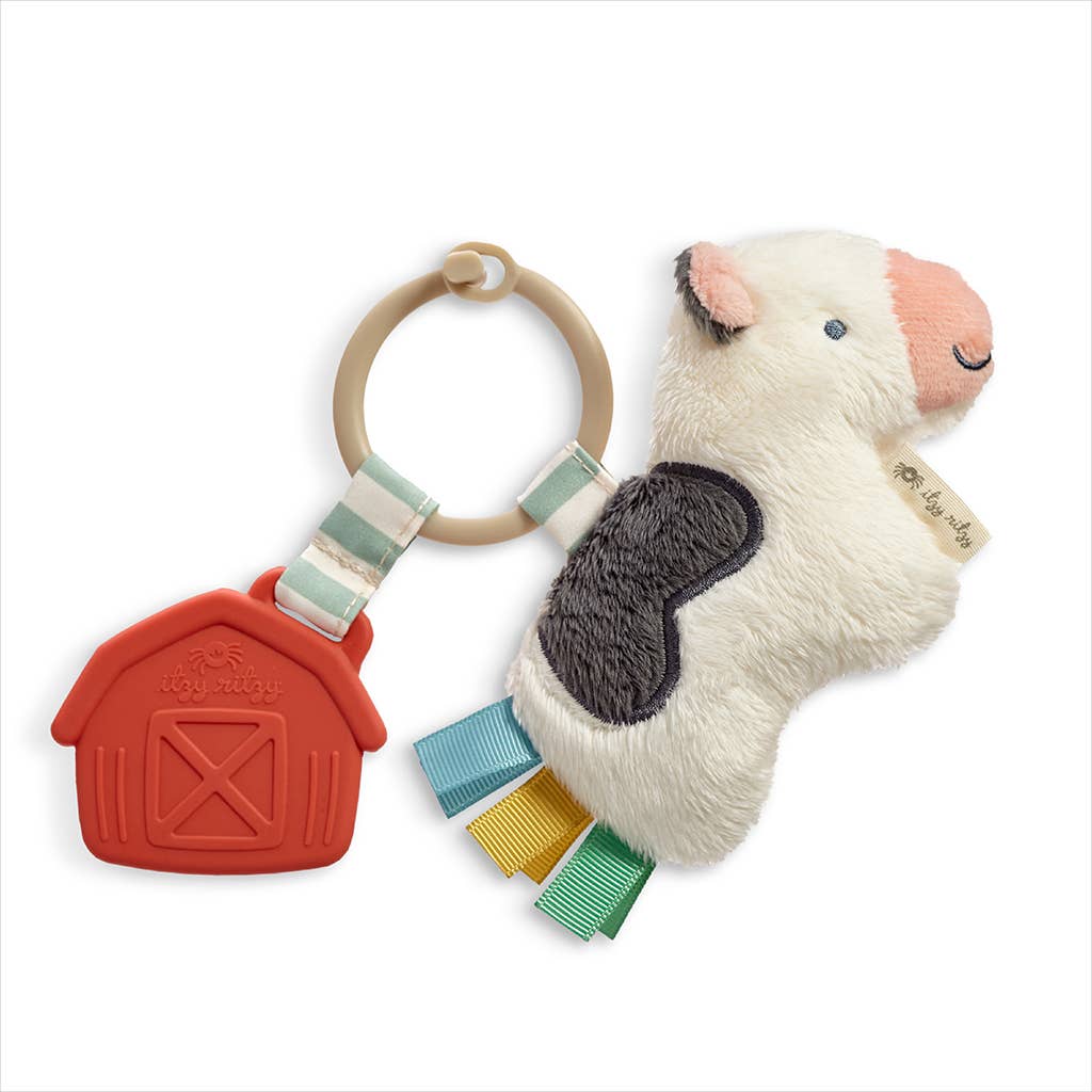 Itzy Ritzy Canada - Itzy Pal Plush + Teether