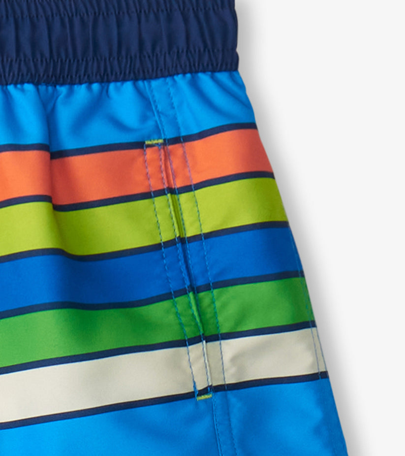 Hatley - Swim Trunks