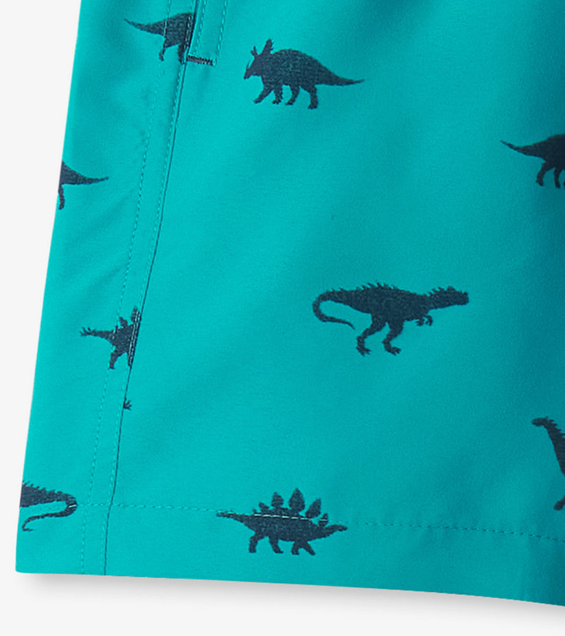 Hatley - Swim Trunks
